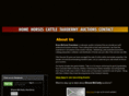 brucemccarty.com