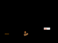 netforce-player.net