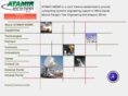atamirwsmr.com