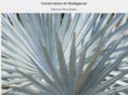 conservatoire-de-madagascar.com