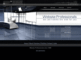 websiteprofessionals.com