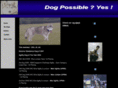 dogpossible.com