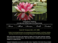 integrativehealing.ws