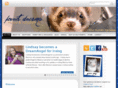 ferretdreamsdenver.org