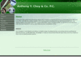 anthonychoy.com