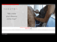 mobitex.pl