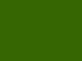 tree-of-knowledge.net