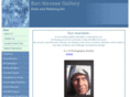 bennavaeegallery.com