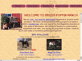 brushpoppinranch.com