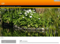 idp-z.com