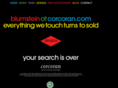 blumsteinatcorcoran.com