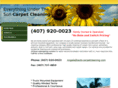 everythingunderthesoncarpetcleaning.com