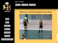 hgvavolleyball.net