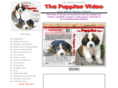puppiesvideo.com