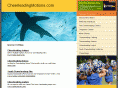 cheerleadingmotions.com