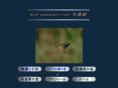 bird-kawasemi.com
