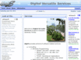 digivs.com