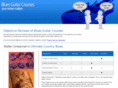 bluesguitarcourses.com