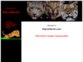 bigcatworld.com