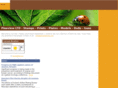 pineview-ltd.com