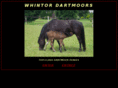 whintordartmoors.com