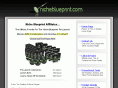 nicheblueprintjv.com