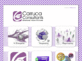 carrucaconsultants.com