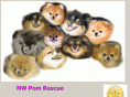 nwpomrescue.com