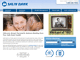 salin-websecure.net