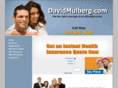 davidmulberg.com