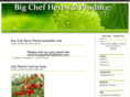 bigchefherbs.com