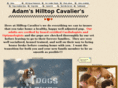 hilltopcavaliers.com