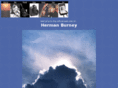 hermanburney.com