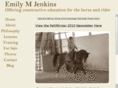 emilymjenkins.com