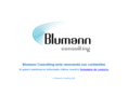blumannconsulting.es