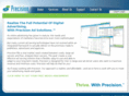 precisionadsolutions.net