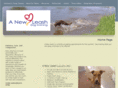 anewleashstl.com