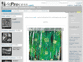 artprocess.org