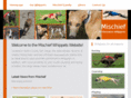 mischiefwhippets.com