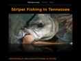 tnstriperguide.com