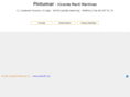 pintumar.com