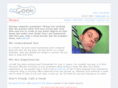 companycomputergeek.net