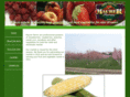 maurerfarms.com
