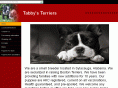 tabbysbostonterriers.com