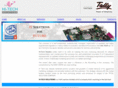 hi-techsolutions.net