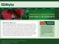 allylix.com