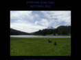 pfeffer-schlossrottweilers.com
