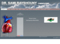 dr-rayshounysami.info