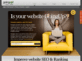 visitorcounterscript.com