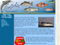 twogeorgesdeepseafishing.com